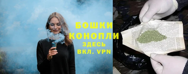PSILOCYBIN Алексеевка
