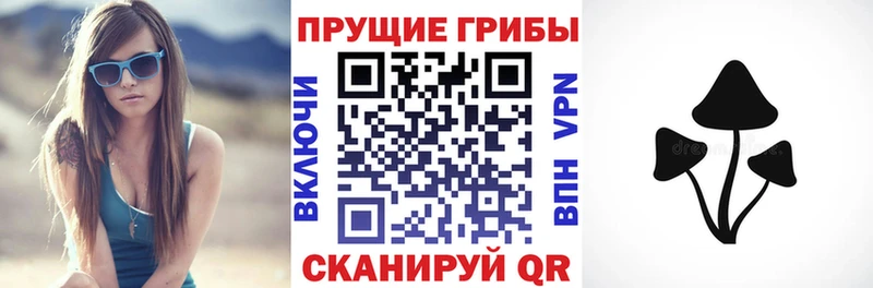 наркотики  Хадыженск  Псилоцибиновые грибы GOLDEN TEACHER 